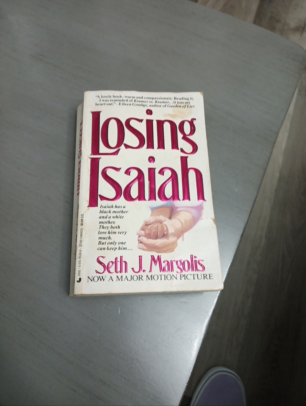 Source Unknown White Paperback 'Losing Isaiah' with Pink Title